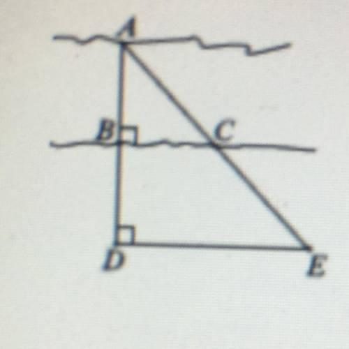 BD = 21 m.
BC= 25 m.
DE = 40 m.
AB = 7m.
Find AB