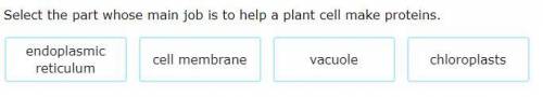 Select the part whose main job is to help a plant cell make proteins. (Will give brainliest if corr