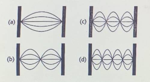 Which has the highest frequency?

Which of the standing waves represents the first overtone ?
In w