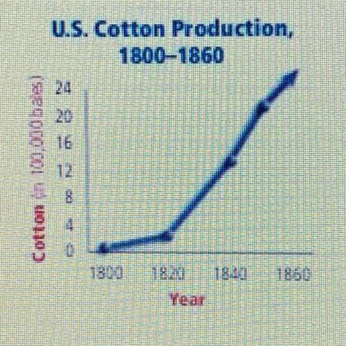 About what year did cotton production reach 1.2 million bales per year?

There are new answer choi