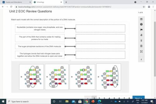 Match each model with the correct description of the portion of a DNA molecule. pic attached. NO LI