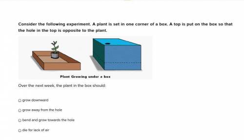 Consider the following experiment. A plant is set in one corner of a box. A top is put on the box s