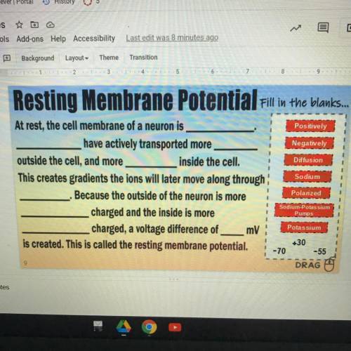 Resting Membrane Potential Fill in the blank...

At rest, the cell membrane of a neuron is___
have