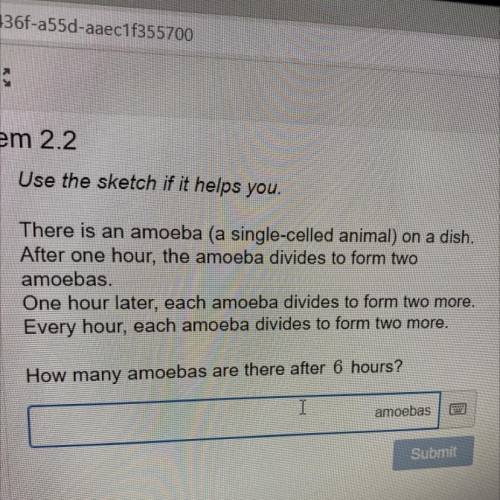 Sketch if it helps you.

There is an amoeba (a single-celled animal) on a dish-
After one hour, th