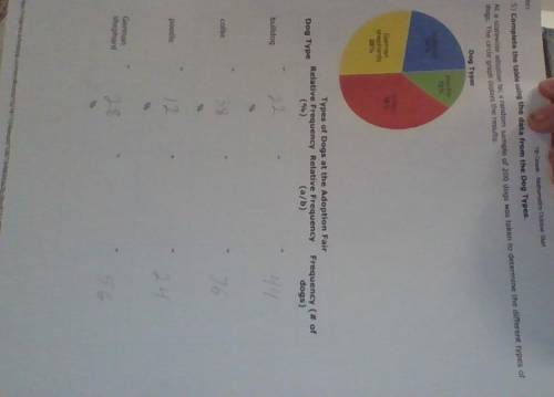 CAN SOMEBODY HELP ME PLEASE. I cant figure out Relative Frequency (a/b)