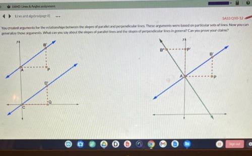 You created arguments for the relationships between the slopes of parallel and perpendicular lines.