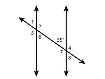 In the diagram, two parallel lines are intersected by a transversal.

What are the measurements of