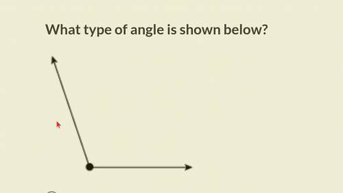 What type of angle is shown below?
straight
acute
obtuse
right