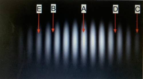 Which point or points on the image below show constructive interference of light?

a and b
a, c, a