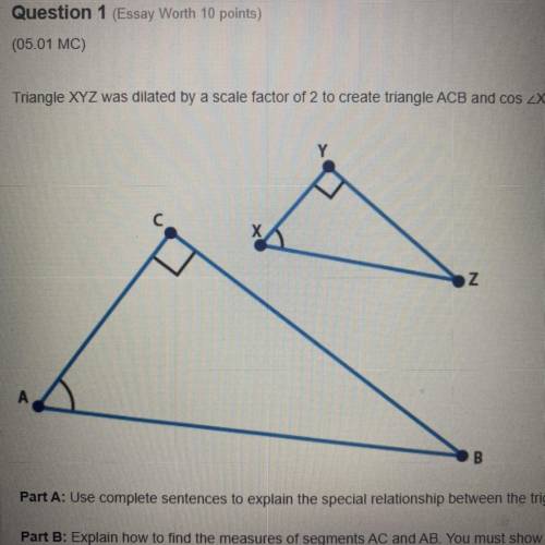 30 POINTS

Triangle XYZ was dilated by a scale factor of two to creat
