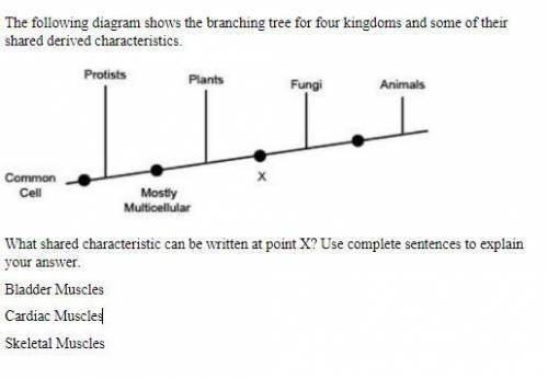 BRAINLIEST

EASY 7TH GRADE SCI./HEALTH
The following diagram shows the branching tree for four kin