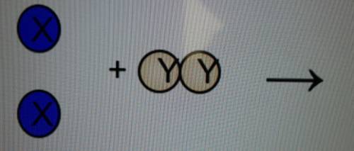 Complete the drawing for the sample reaction below to show the law of conservation of mass, when XY