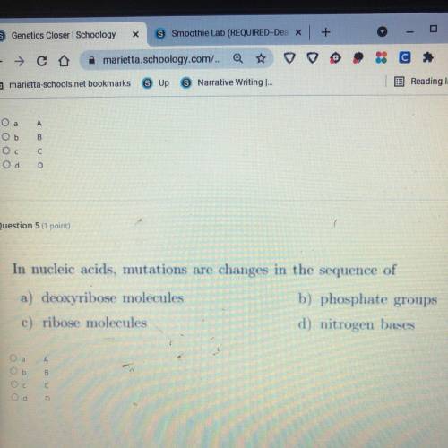 In nucleic acids, mutations are changes in the sequence of