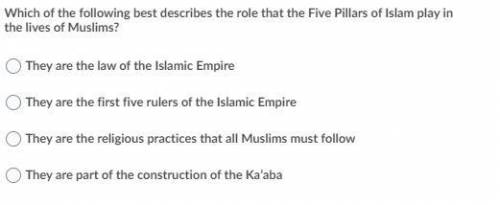 which of the following best describes the role that the five pillars of Islam play in the lives of