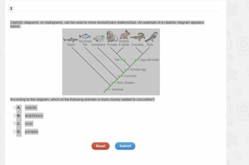Cladistic diagrams, or cladograms, can be used to show evolutionary relationships. An example of a