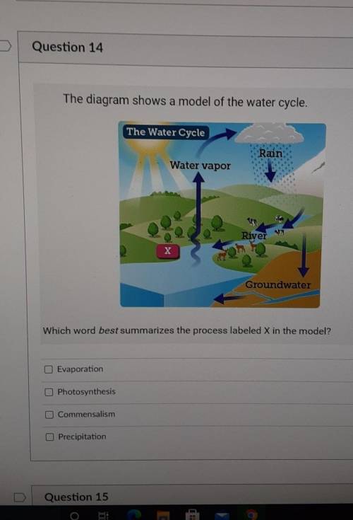 The Diagram shows a model of the water cycle. Which word best summarizes the process labeled X in t