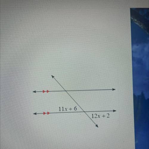 Solve for X
O x = 4
O x= -4
O x%3D-176
O x = 176