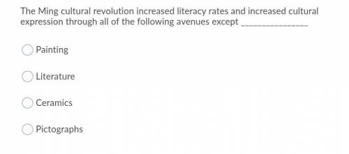 The Ming cultural revolution increased literacy rates and increased cultural expression through all