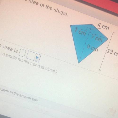 PLEASE HELP ME FIND THE AREA OF THIS KITE MY GRADE DEPENDS ON IT I WILL ANSWER ANY QUESTIONS YOU HA