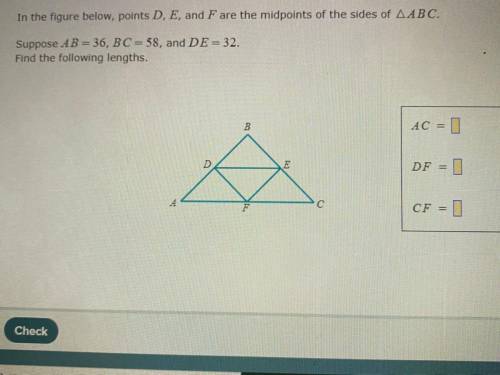 Please help! i need the answer