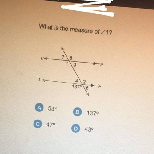I really need help on this one!!