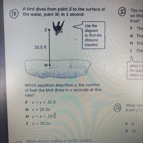 A bird dives from point to the surface of

the water, point w, in 1 second.
S
Use the
diagram
to f