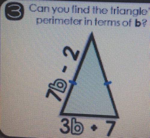 Find the perimeter of the triangle in terms of b.
I’m marking branliest