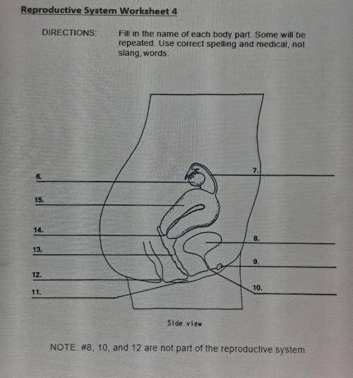 Complete the reproductive system worksheet 1-4
