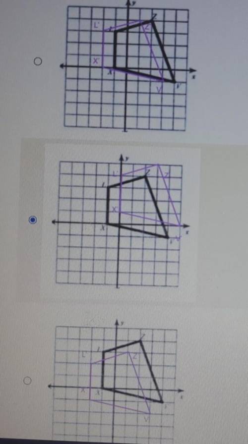 Choose the correct image showing the quadrilateral LXVZ (1, 1)​
