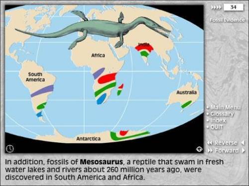 Examine the image provided. The different colors on the continents represent where fossils of this