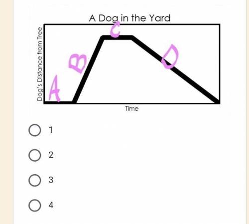 Real World Piecewise Functions
How many pieces are in this graph?