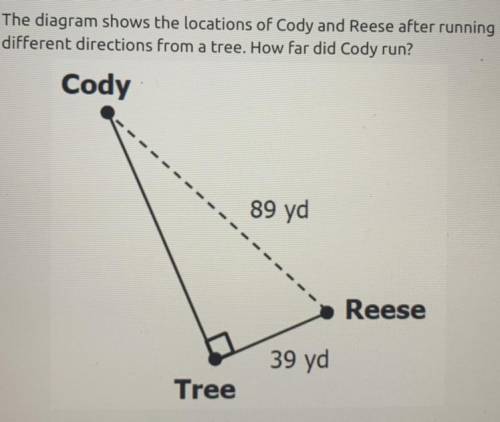 The diagram shows the locations of Cody and Reese after running

different directions from a tree.