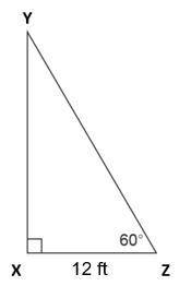 What is the height of this triangle?
