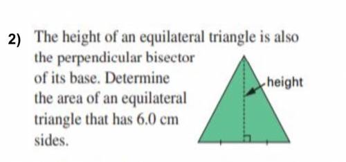 the height of an equilateral triangle is perpendicular bisector of its base, determine the area of