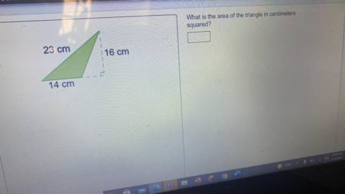 What is the area of the triangle in centimeters squared?