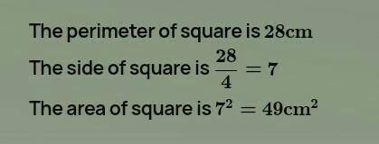 If the perimeter of a room is 28cm what is the area