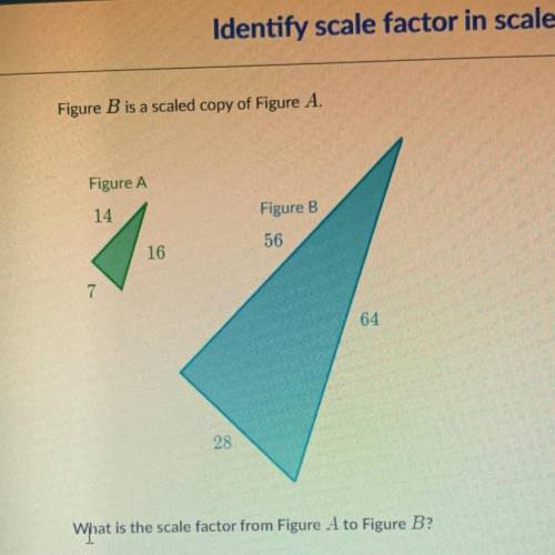 Figure B is a scaled copy of Figure A.

Figure A
14
Figure B
56
16
7
64
28
What is the scale facto