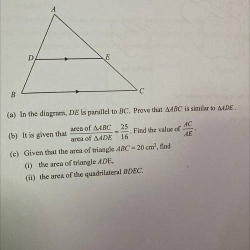 Please help will give brainliest !! i need b and c!