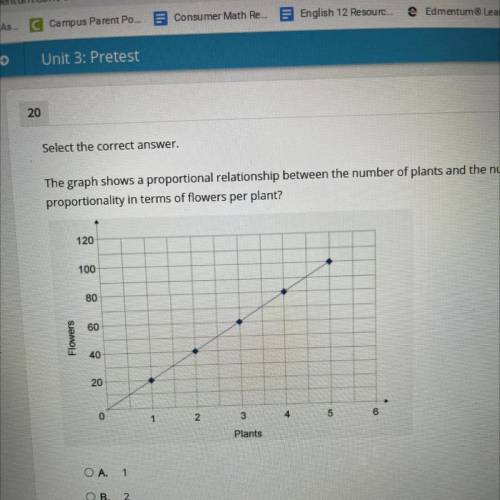 The graph shows a proportional relationship between the number of plants and the number of flowers