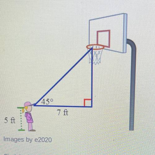 Find the height of the basketball hoop to the nearest foot.

A. 7 ft
B. 10 ft
C. 12 ft
D. 15 ft