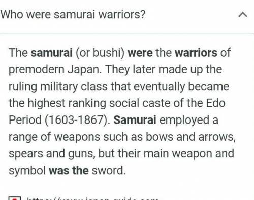 What were samurai?

government soldiers
Japanese rulers
military rulers
professional warriors