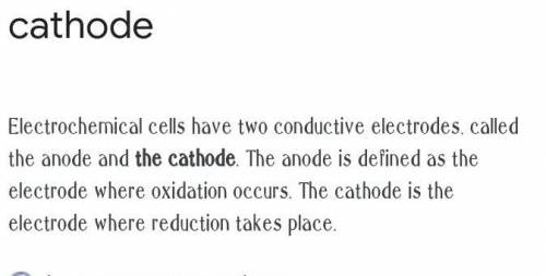 Where does reduction occur in an electrochemical cell?