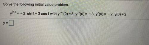 What is the answer for y=?