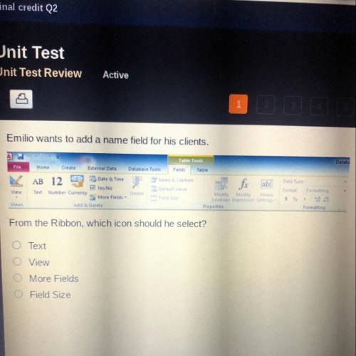 Emilio wants to add a name field for his clints. From the ribbon, which icon should be selected?