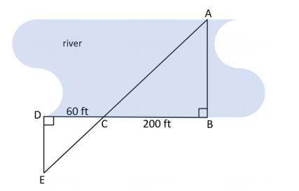 1. Paulina wants to find the width, AB, of a river. She walks along the edge of the river 200 ft an
