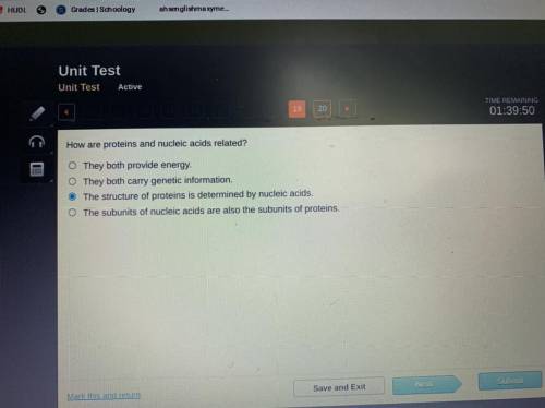 How are proteins and nucleic acids related?