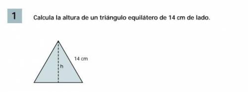 (sorry europa)
calcula la altura del triangulo equilatero de lado 14cm