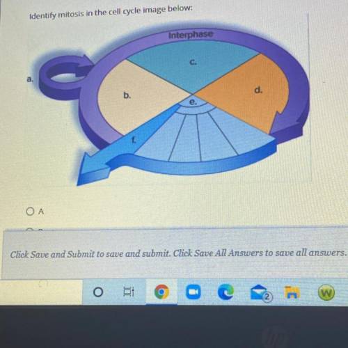 Identify mitosis in the cell cycle image below:
Interphase
C.
b.
d.
e.
F.