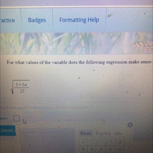 For what values of the variable does the following expression make sense:
(squareroot) 1+3a/25