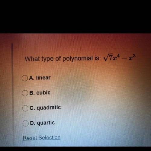 What type of polynomial is: sqrt 7x^4 - x^3